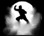 Ninja dans l'ombre